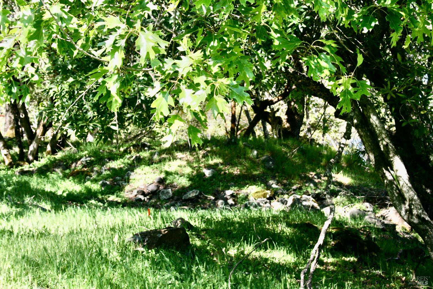 Detail Gallery Image 20 of 48 For 10 Ridgecrest Dr, Napa,  CA 94558 - – Beds | – Baths