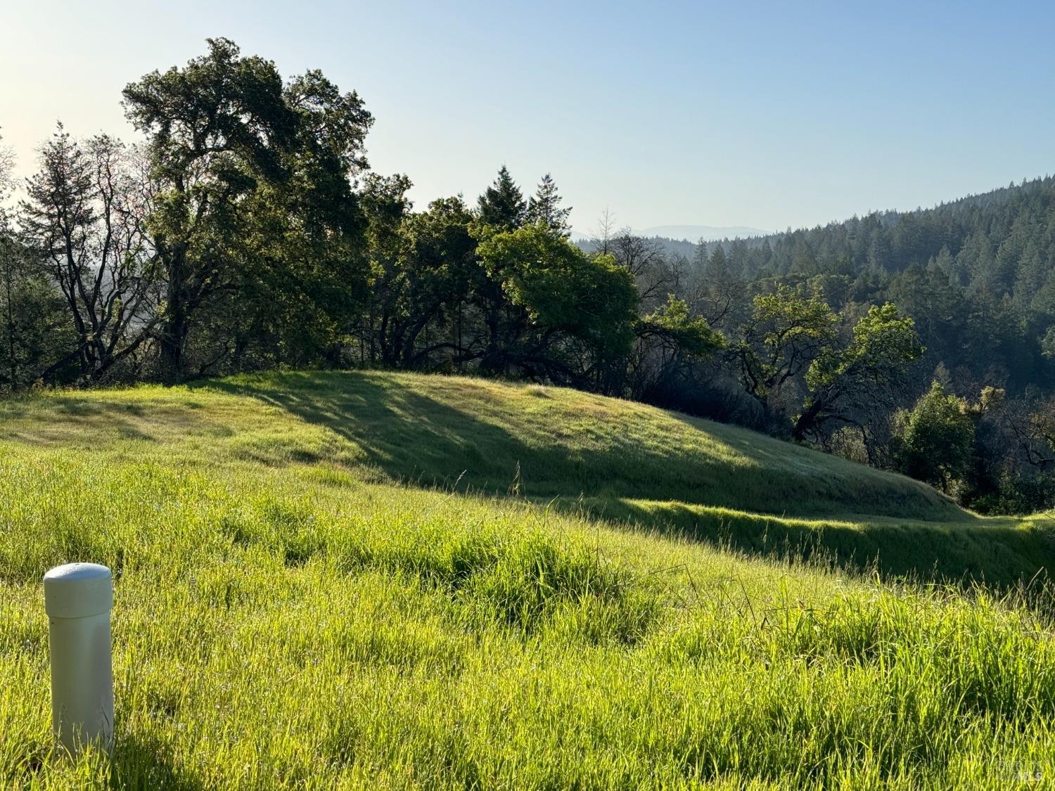 Detail Gallery Image 8 of 11 For 2660 Wallace Creek Rd, Healdsburg,  CA 95448 - – Beds | – Baths