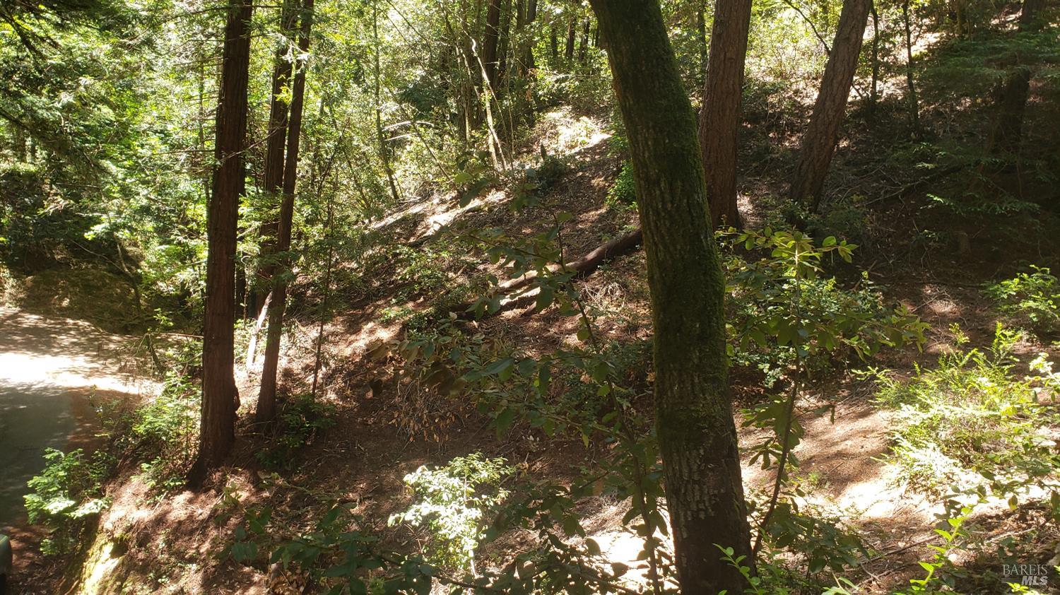 Detail Gallery Image 14 of 18 For 18190 Old Monte Rio Rd, Guerneville,  CA 95446 - – Beds | – Baths