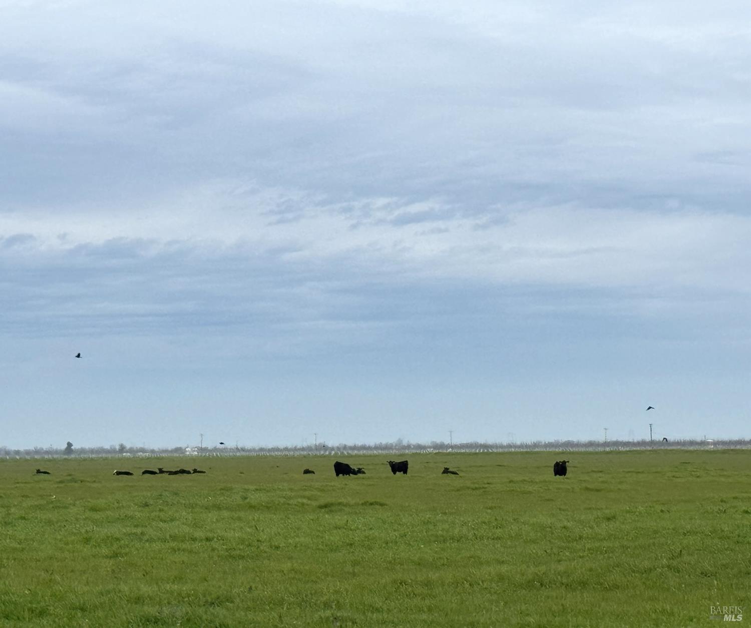 Detail Gallery Image 8 of 9 For 0 Hyde Rd, Dixon,  CA 95620 - – Beds | – Baths