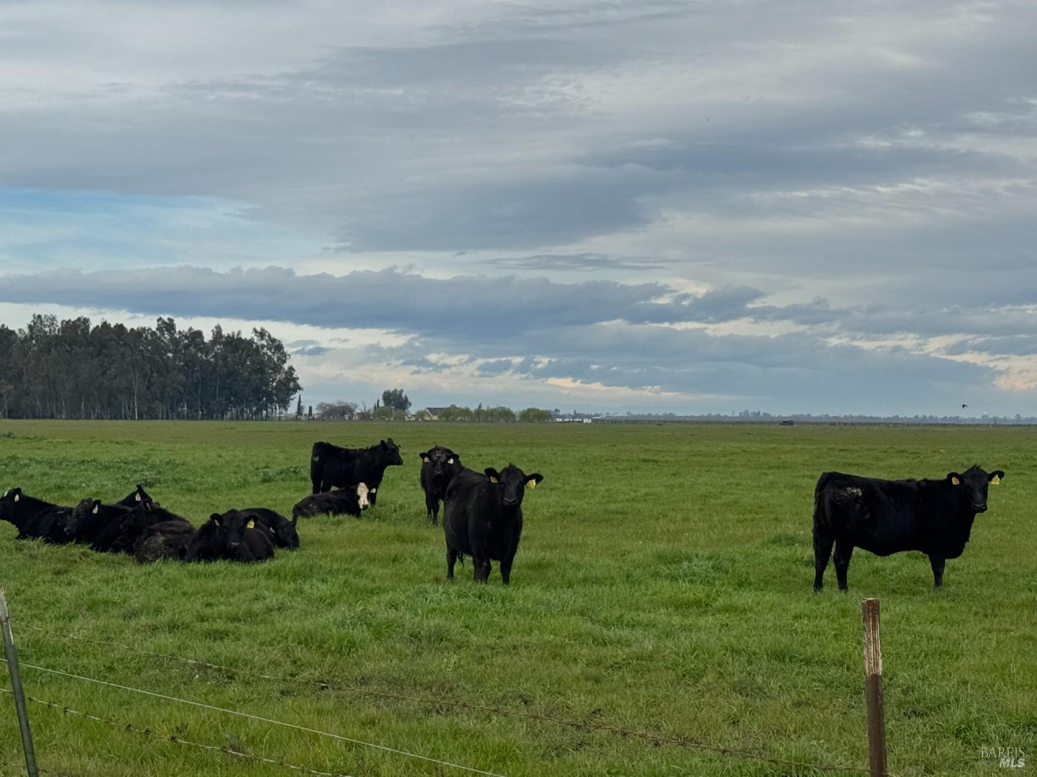 Detail Gallery Image 6 of 9 For 0 Maxwell Ln, Dixon,  CA 95620 - – Beds | – Baths