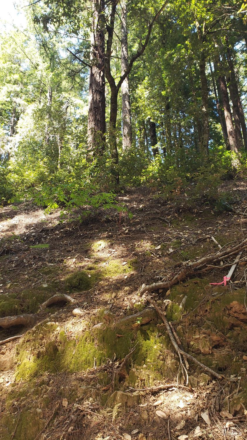 Detail Gallery Image 3 of 18 For 18190 Old Monte Rio Rd, Guerneville,  CA 95446 - – Beds | – Baths