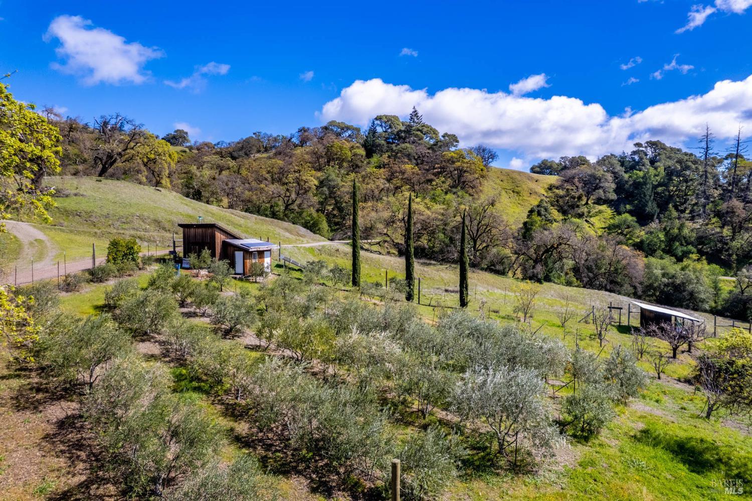 Detail Gallery Image 57 of 80 For 16101 Lost Creek Rd, Yorkville,  CA 95494 - 2 Beds | 2 Baths