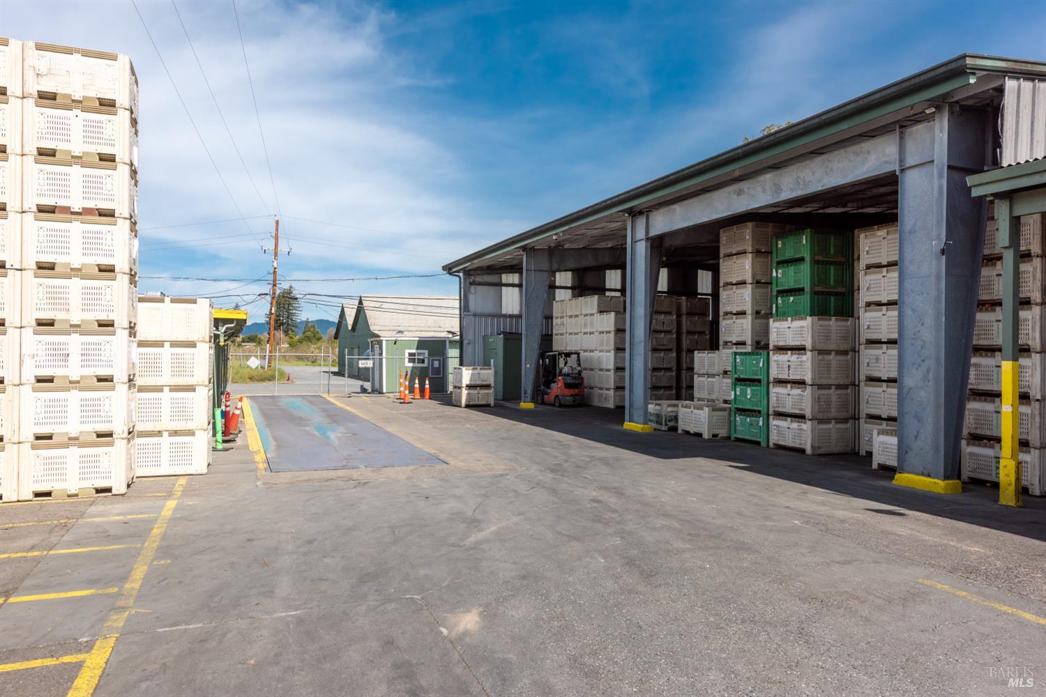 Detail Gallery Image 23 of 42 For 9141 Green Valley Rd, Sebastopol,  CA 95472 - – Beds | – Baths