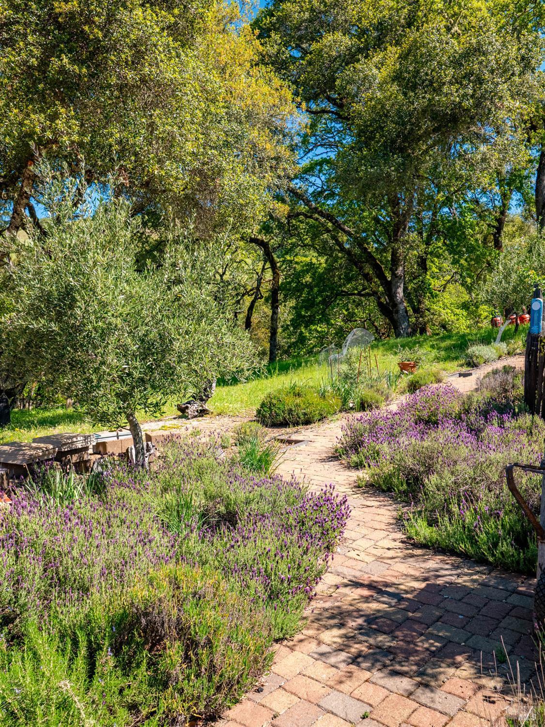 Detail Gallery Image 25 of 80 For 16101 Lost Creek Rd, Yorkville,  CA 95494 - 2 Beds | 2 Baths