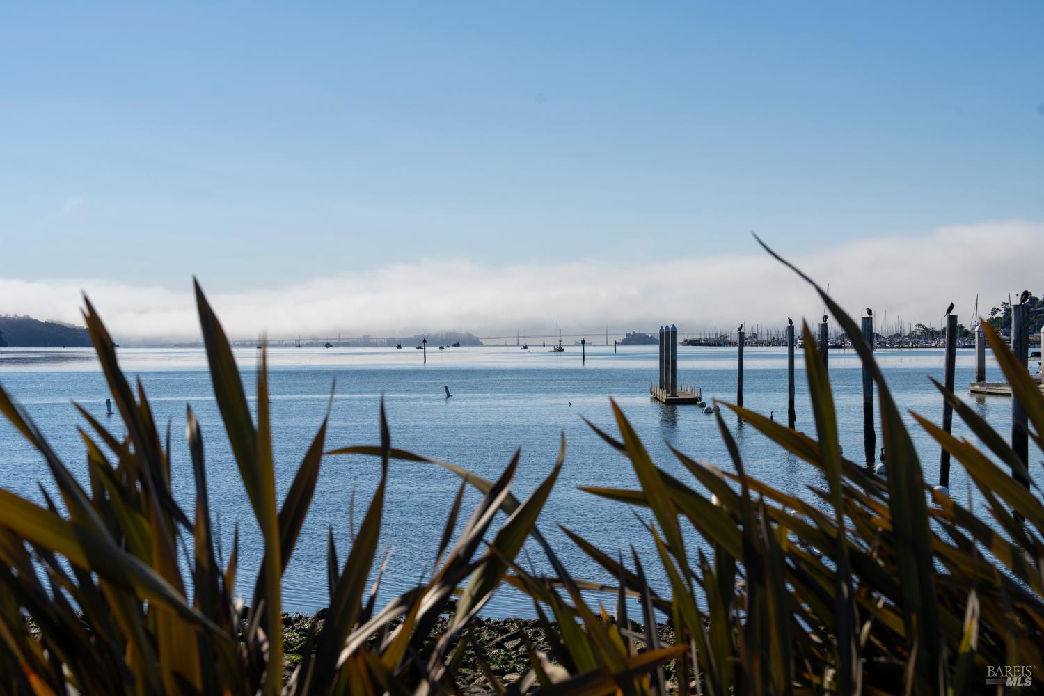 Detail Gallery Image 30 of 33 For 62 Cypress Pl, Sausalito,  CA 94965 - 2 Beds | 2 Baths