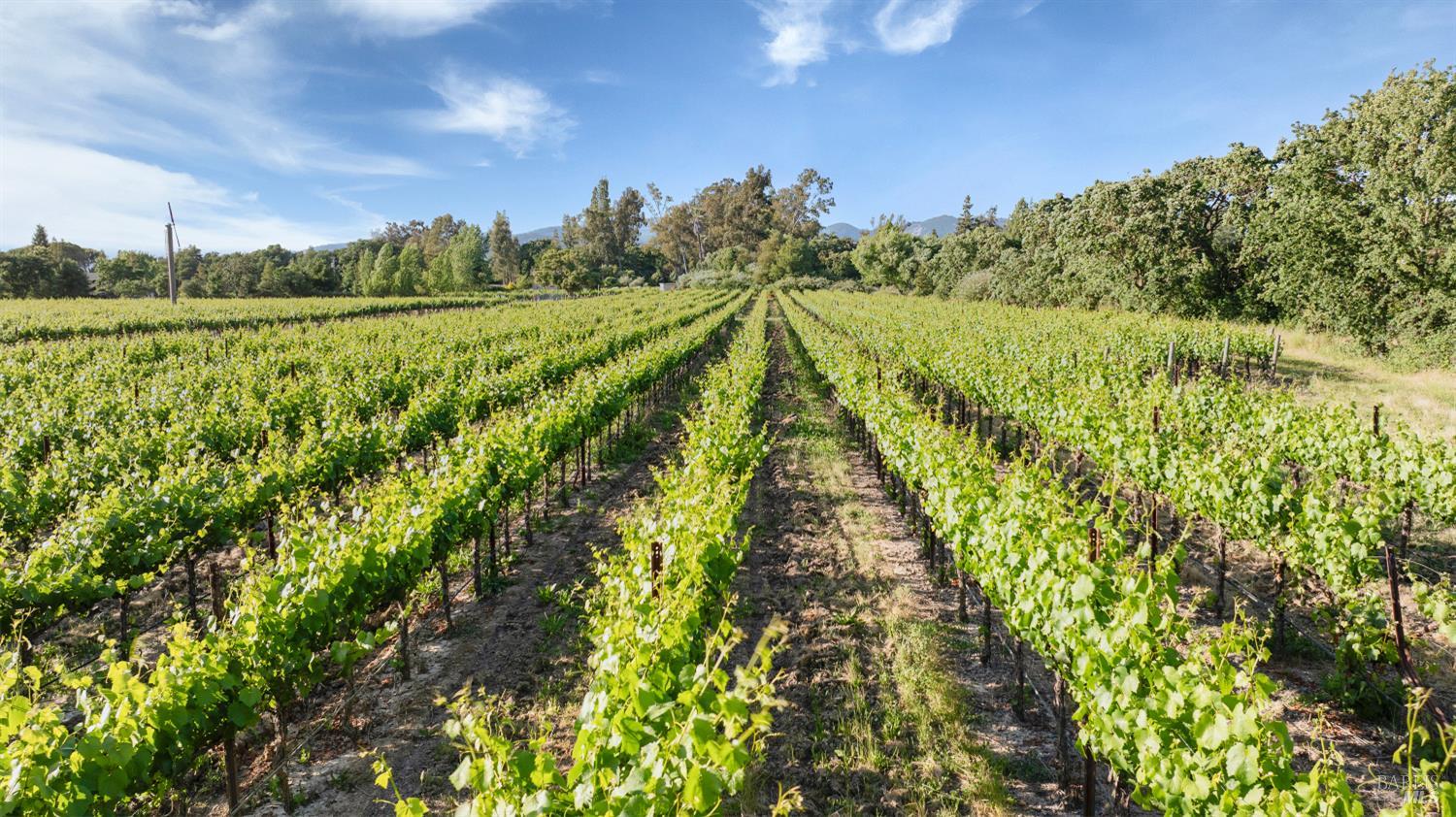 Detail Gallery Image 2 of 8 For 570 E Watmaugh Rd, Sonoma,  CA 95476 - – Beds | – Baths