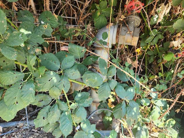 Detail Gallery Image 3 of 13 For 74200 Covelo Rd, Covelo,  CA 95428 - – Beds | – Baths