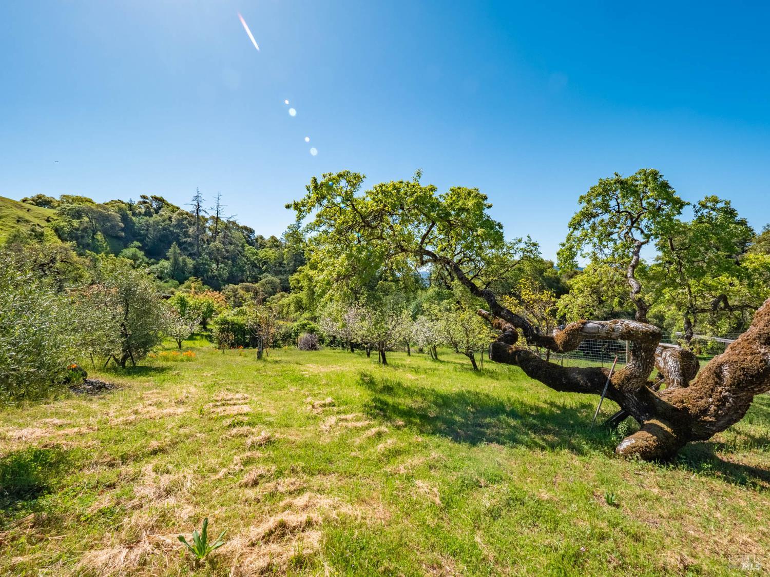 Detail Gallery Image 72 of 80 For 16101 Lost Creek Rd, Yorkville,  CA 95494 - 2 Beds | 2 Baths