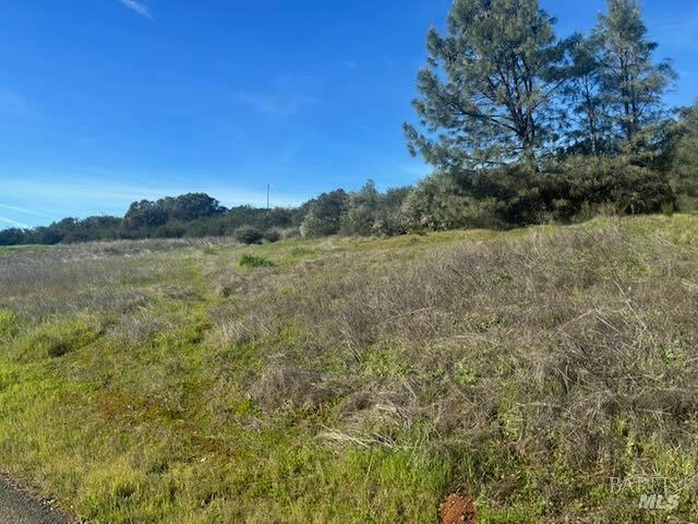 Detail Gallery Image 5 of 11 For 16295 Tinilyn Rd, Lower Lake,  CA 95457 - – Beds | – Baths