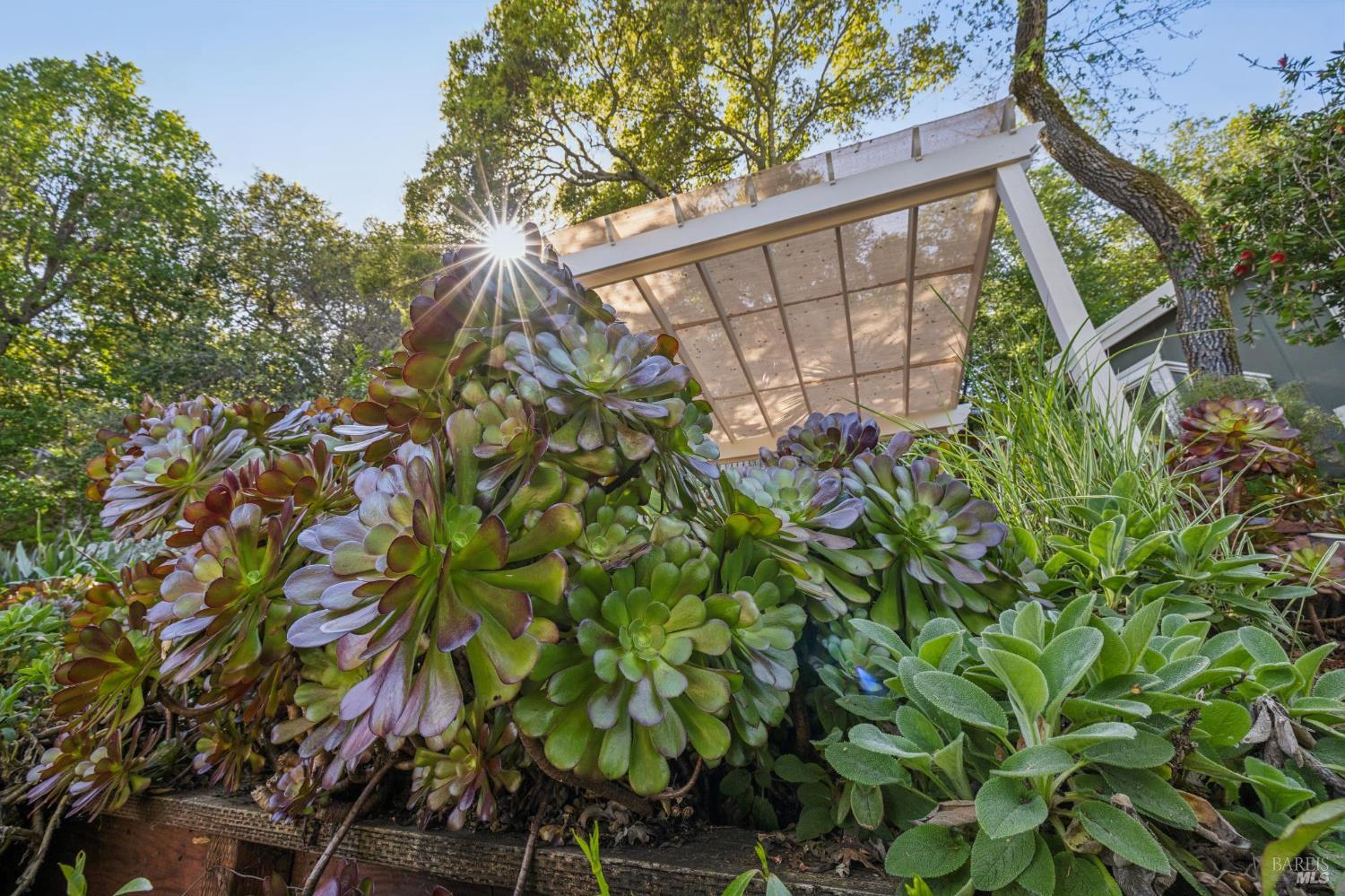 Detail Gallery Image 58 of 70 For 67 Oak Springs Dr, San Anselmo,  CA 94960 - 5 Beds | 4/1 Baths