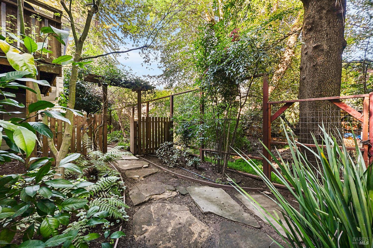 Detail Gallery Image 52 of 59 For 16 Iron Springs Rd, Fairfax,  CA 94930 - 4 Beds | 2 Baths