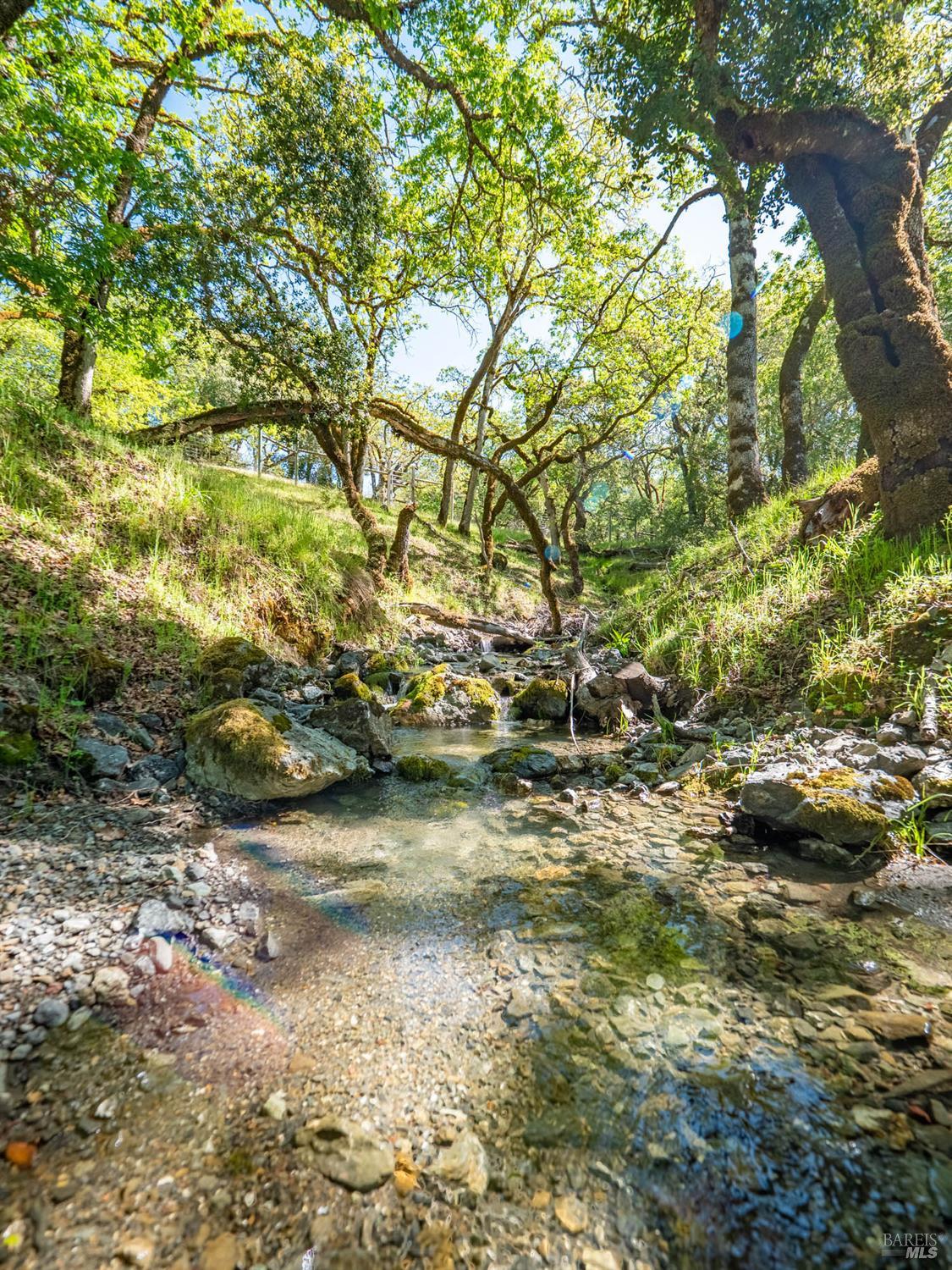 Detail Gallery Image 76 of 80 For 16101 Lost Creek Rd, Yorkville,  CA 95494 - 2 Beds | 2 Baths