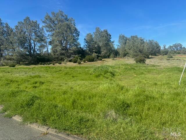 Detail Gallery Image 9 of 11 For 16295 Tinilyn Rd, Lower Lake,  CA 95457 - – Beds | – Baths