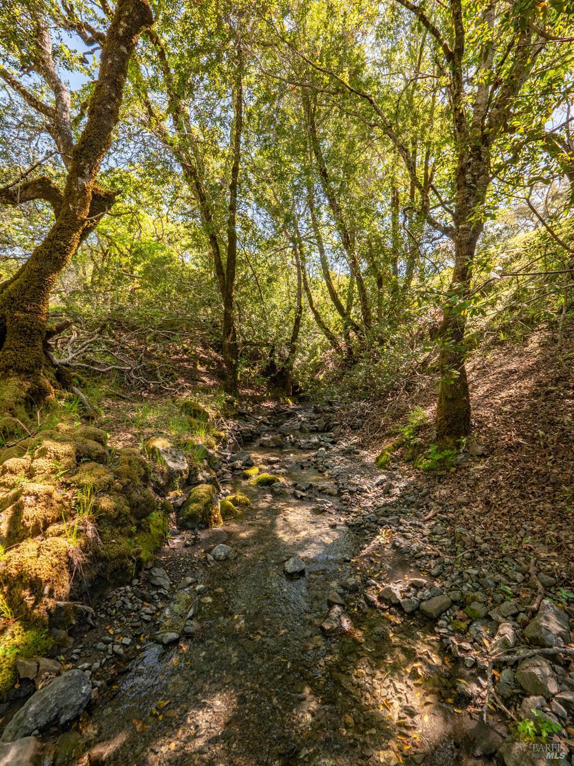 Detail Gallery Image 75 of 80 For 16101 Lost Creek Rd, Yorkville,  CA 95494 - 2 Beds | 2 Baths