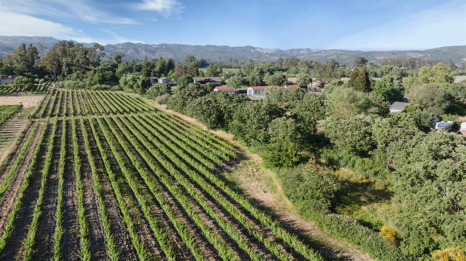 Detail Gallery Image 3 of 8 For 570 E Watmaugh Rd, Sonoma,  CA 95476 - – Beds | – Baths