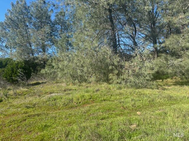 Detail Gallery Image 7 of 11 For 16295 Tinilyn Rd, Lower Lake,  CA 95457 - – Beds | – Baths