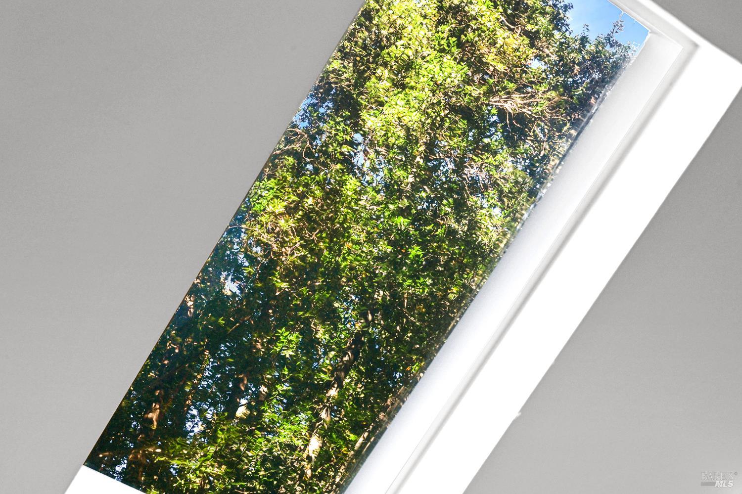 Detail Gallery Image 9 of 59 For 16 Iron Springs Rd, Fairfax,  CA 94930 - 4 Beds | 2 Baths