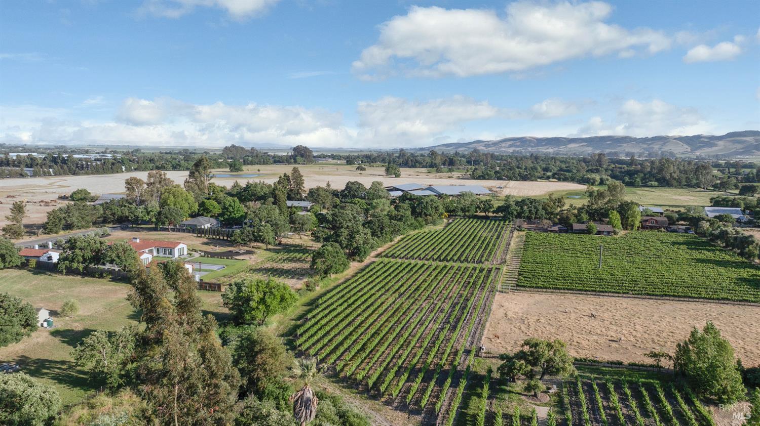 Detail Gallery Image 5 of 8 For 570 E Watmaugh Rd, Sonoma,  CA 95476 - – Beds | – Baths