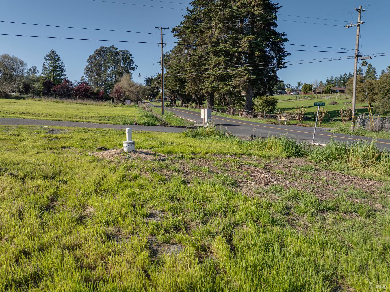 Detail Gallery Image 8 of 13 For 9011 Cypress Ave, Cotati,  CA 94931 - – Beds | – Baths