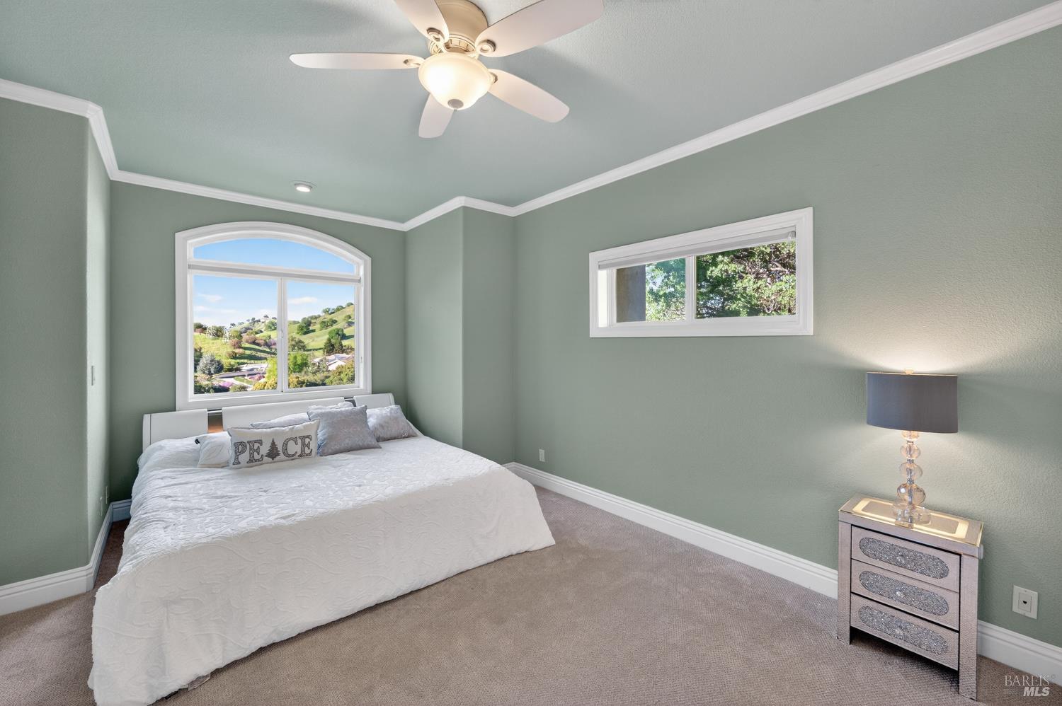 Detail Gallery Image 44 of 89 For 2054 Pinecrest Ct, Vacaville,  CA 95688 - 4 Beds | 4/1 Baths