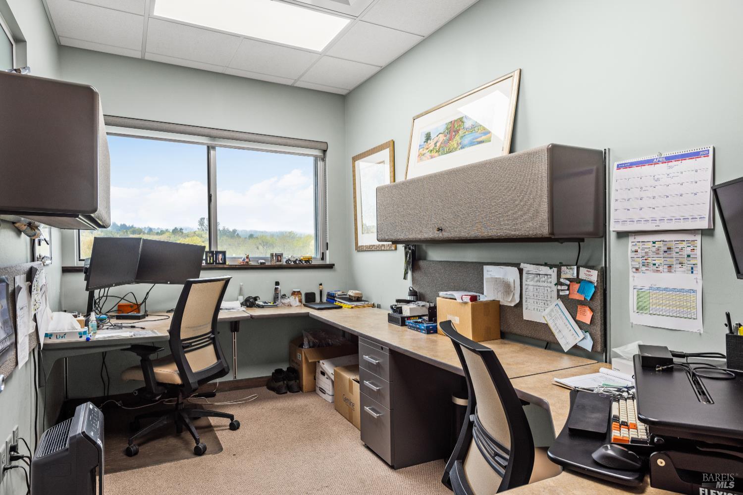 Detail Gallery Image 18 of 42 For 9141 Green Valley Rd, Sebastopol,  CA 95472 - – Beds | – Baths