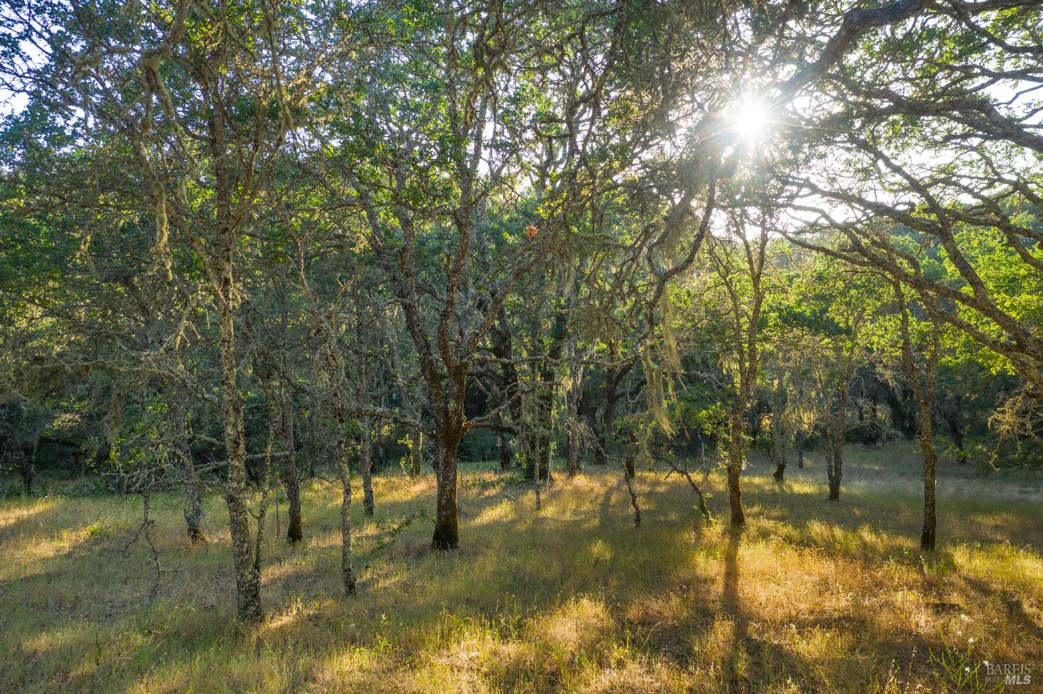 Detail Gallery Image 2 of 12 For 100 Valley Oak Cir, Healdsburg,  CA 95448 - – Beds | – Baths