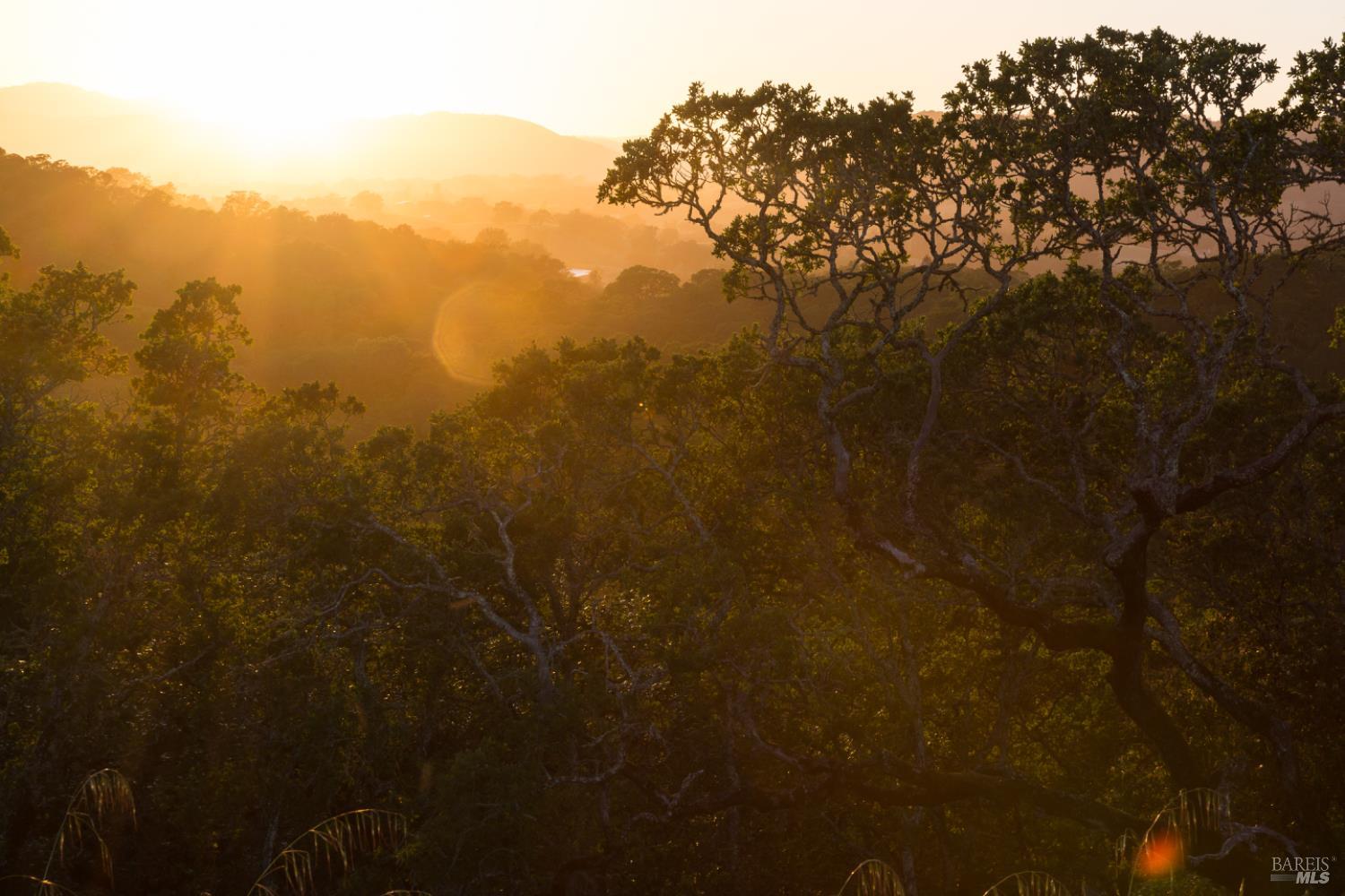 Detail Gallery Image 3 of 14 For 135 Hawthorn Ct, Healdsburg,  CA 95448 - – Beds | – Baths