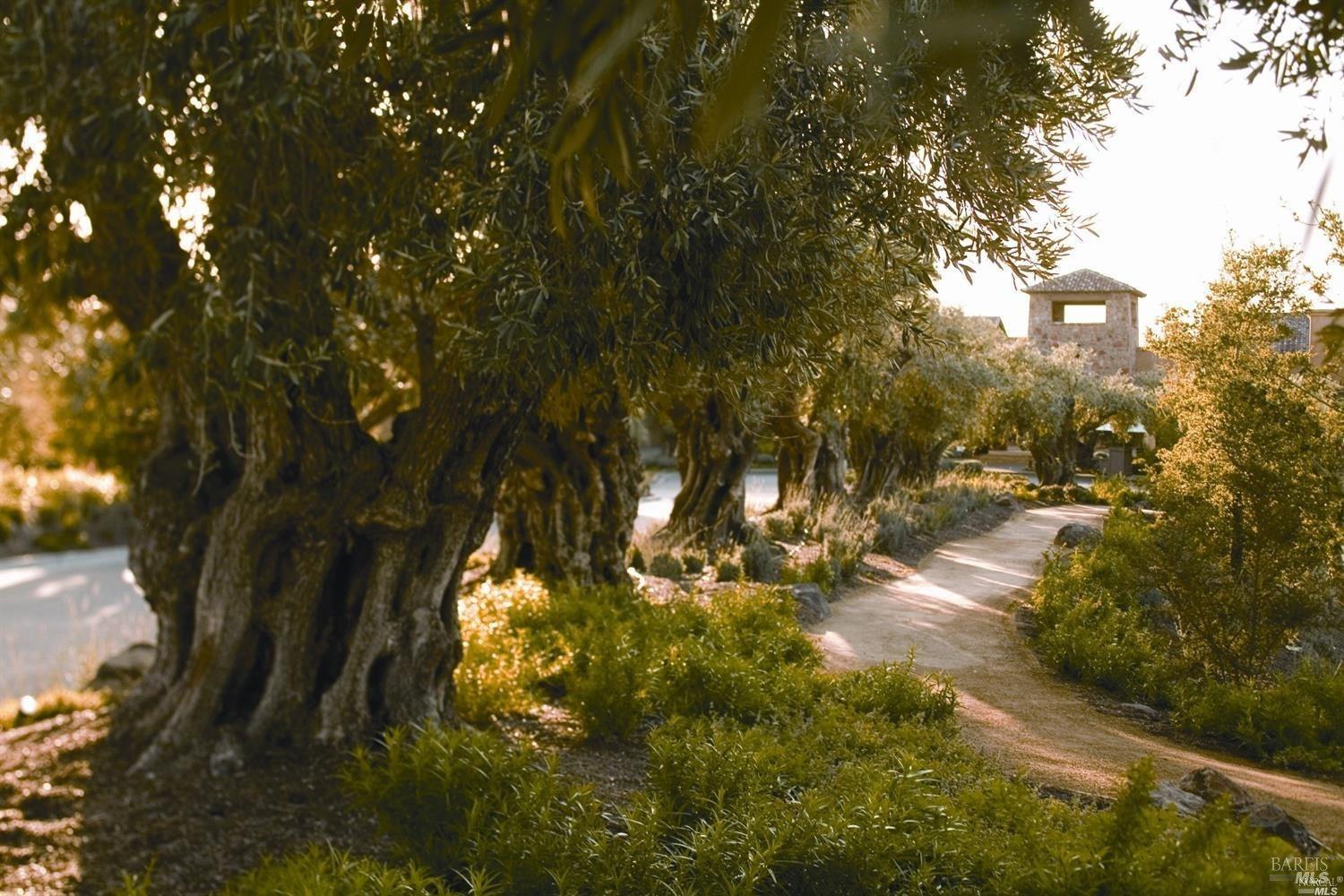 Detail Gallery Image 94 of 95 For 6444 Cottage Ridge Rd, Santa Rosa,  CA 95403 - 4 Beds | 4/2 Baths