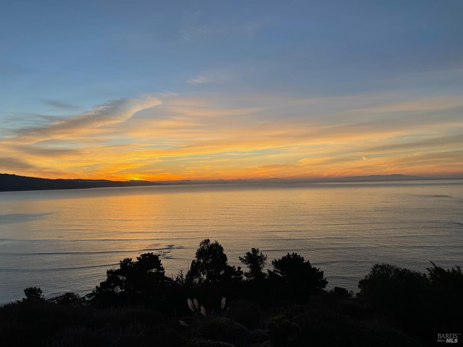 Detail Gallery Image 75 of 85 For 272 Ocean Pkwy, Bolinas,  CA 94924 - 3 Beds | 2 Baths