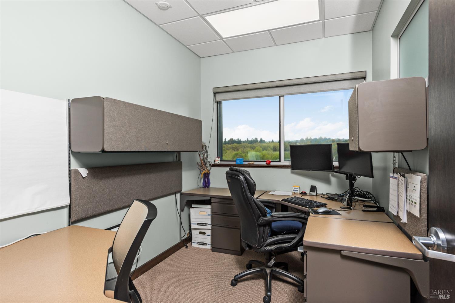 Detail Gallery Image 20 of 42 For 9141 Green Valley Rd, Sebastopol,  CA 95472 - – Beds | – Baths