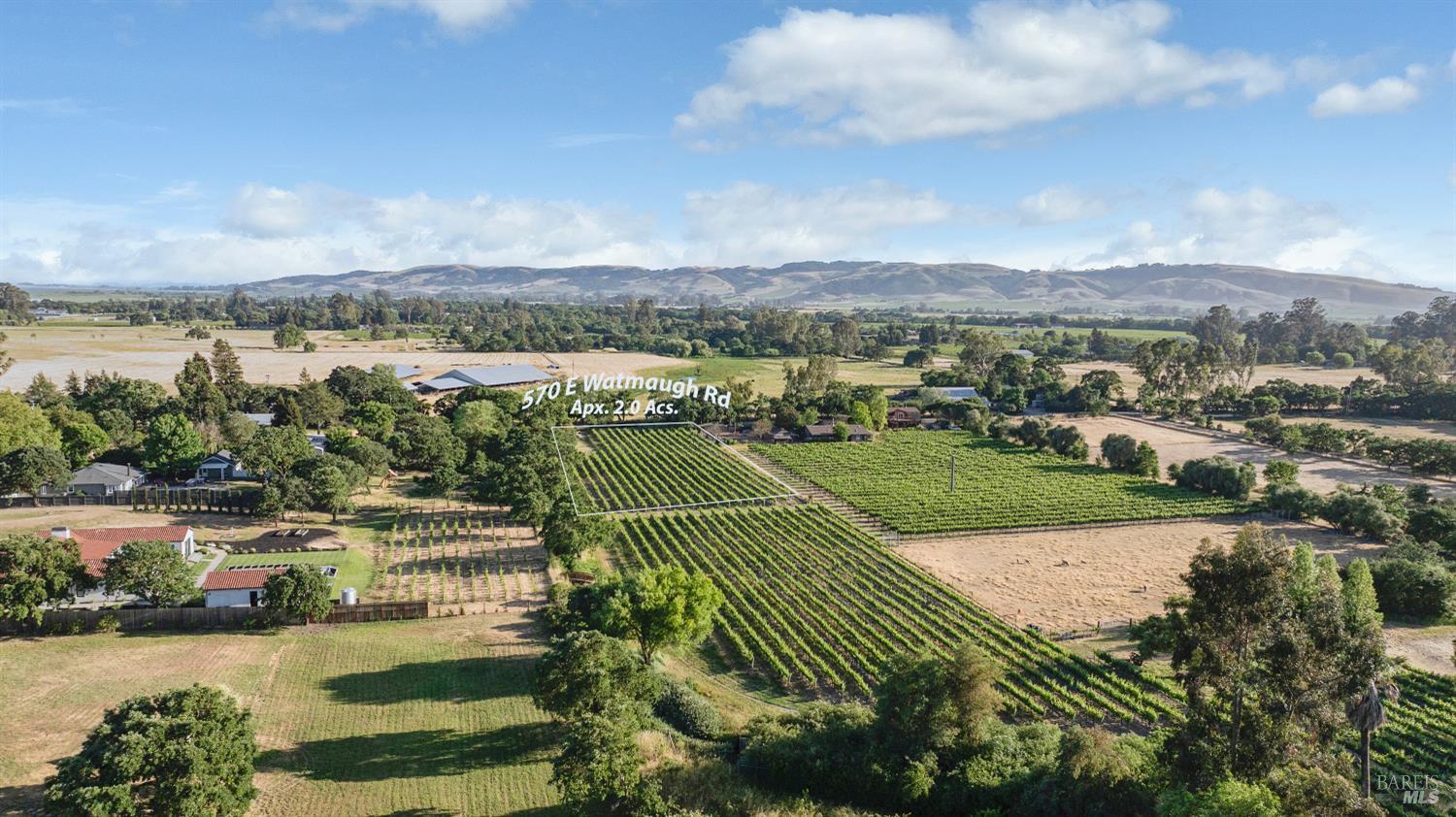 Detail Gallery Image 4 of 8 For 570 E Watmaugh Rd, Sonoma,  CA 95476 - – Beds | – Baths