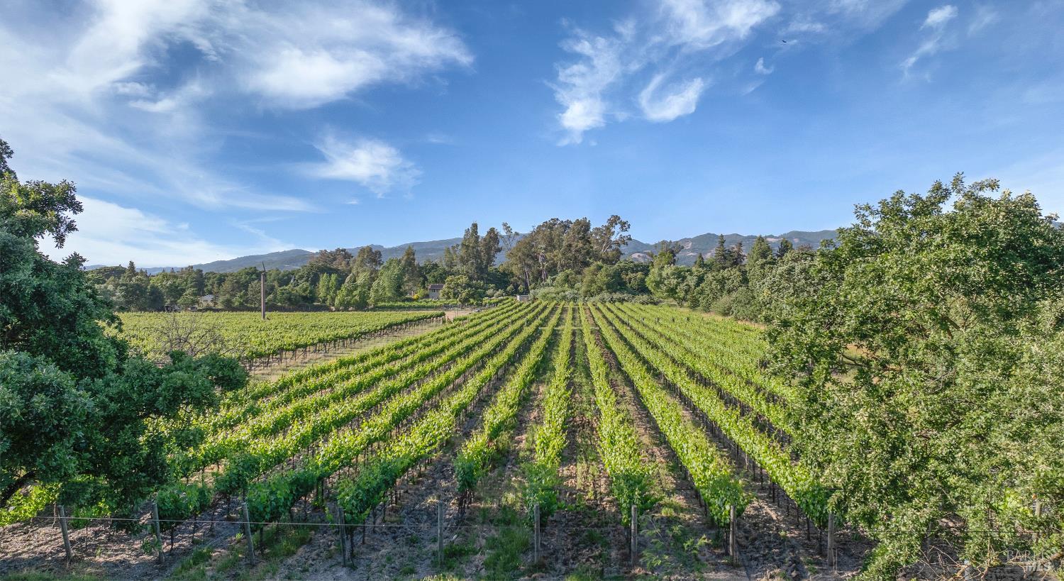 Detail Gallery Image 7 of 8 For 570 E Watmaugh Rd, Sonoma,  CA 95476 - – Beds | – Baths