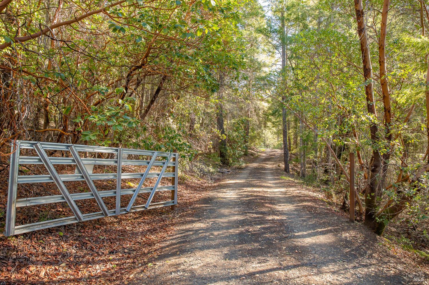 Front Image Thumbnail for BA326020174