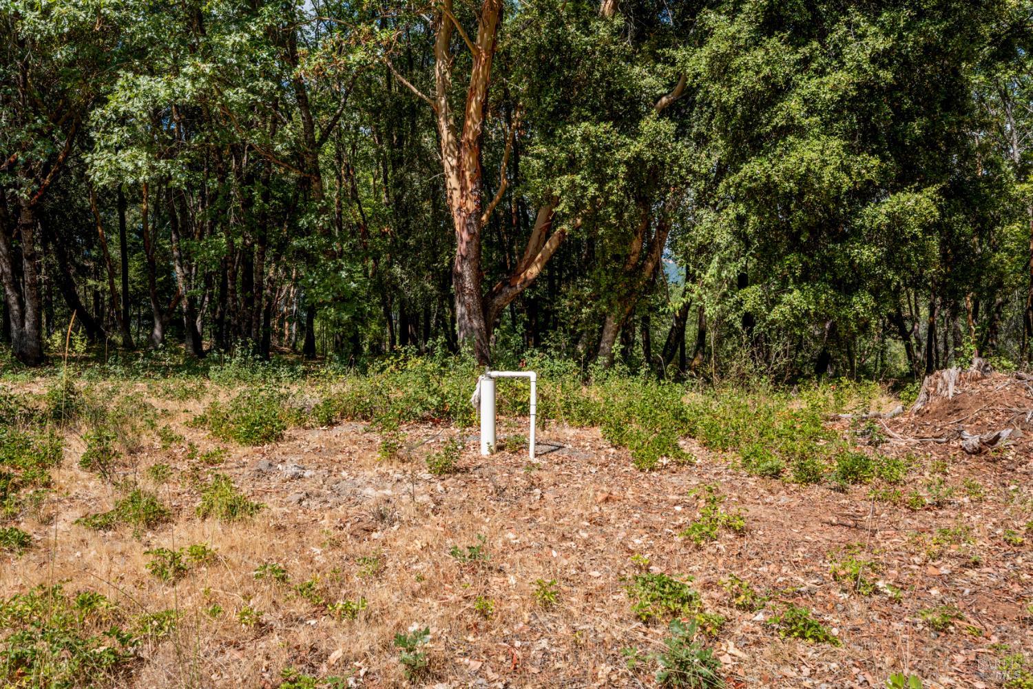 Detail Gallery Image 16 of 24 For 78611 Mina Rd, Covelo,  CA 95428 - 3 Beds | 2 Baths