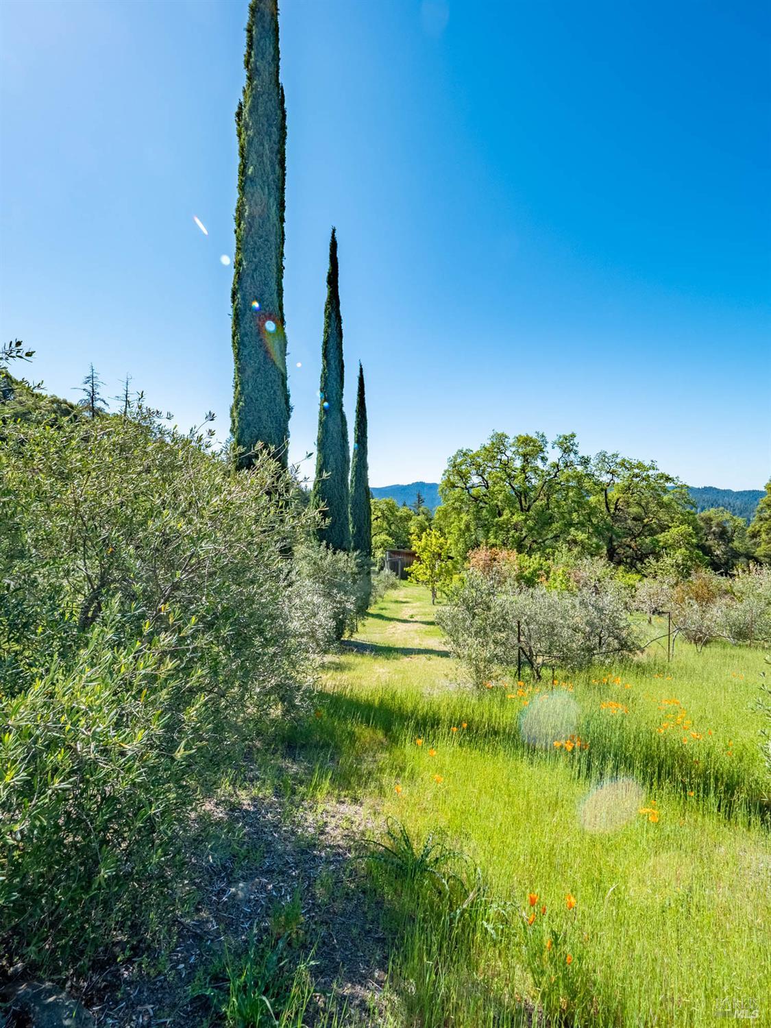 Detail Gallery Image 61 of 80 For 16101 Lost Creek Rd, Yorkville,  CA 95494 - 2 Beds | 2 Baths