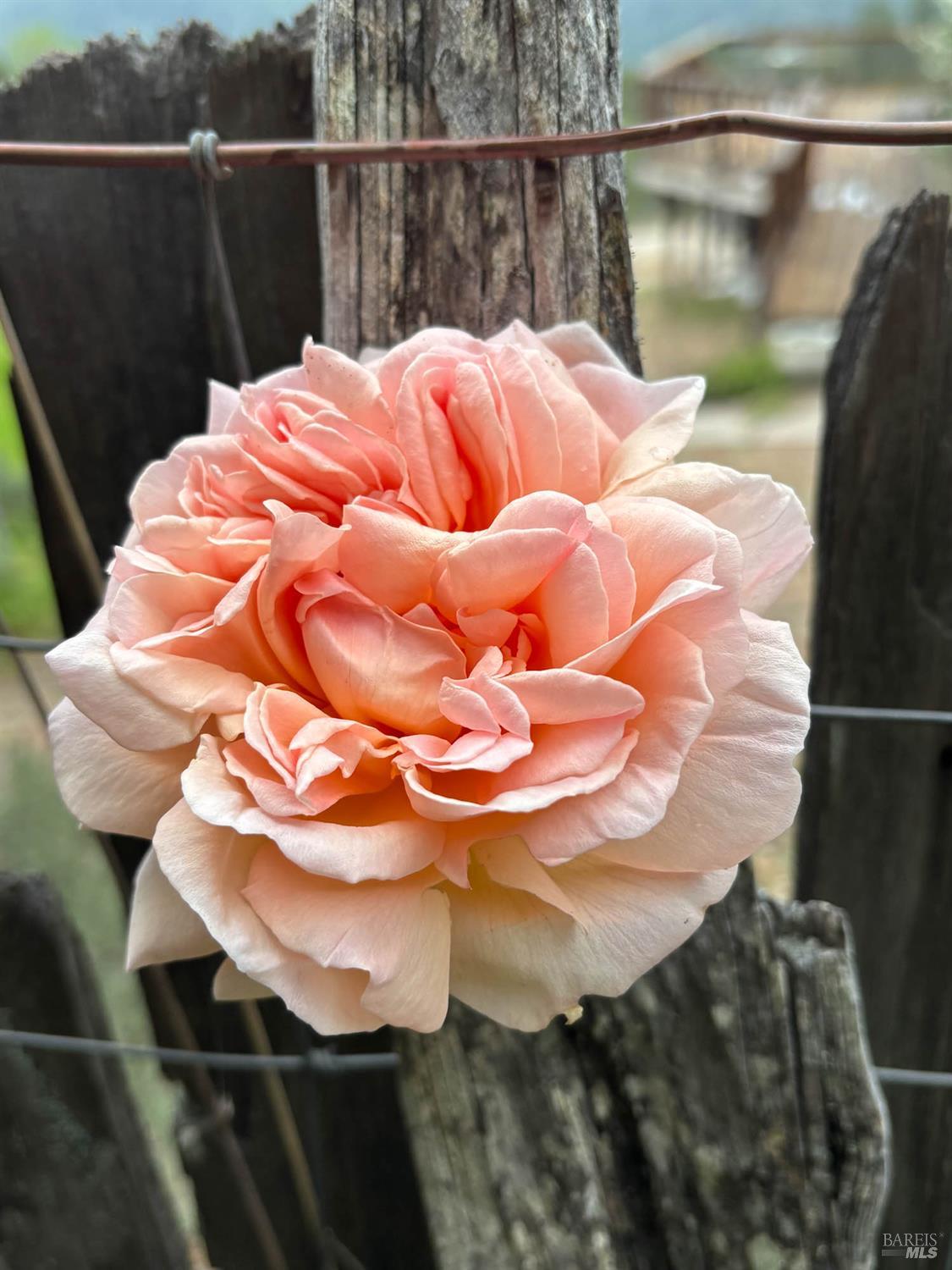 Detail Gallery Image 65 of 80 For 16101 Lost Creek Rd, Yorkville,  CA 95494 - 2 Beds | 2 Baths