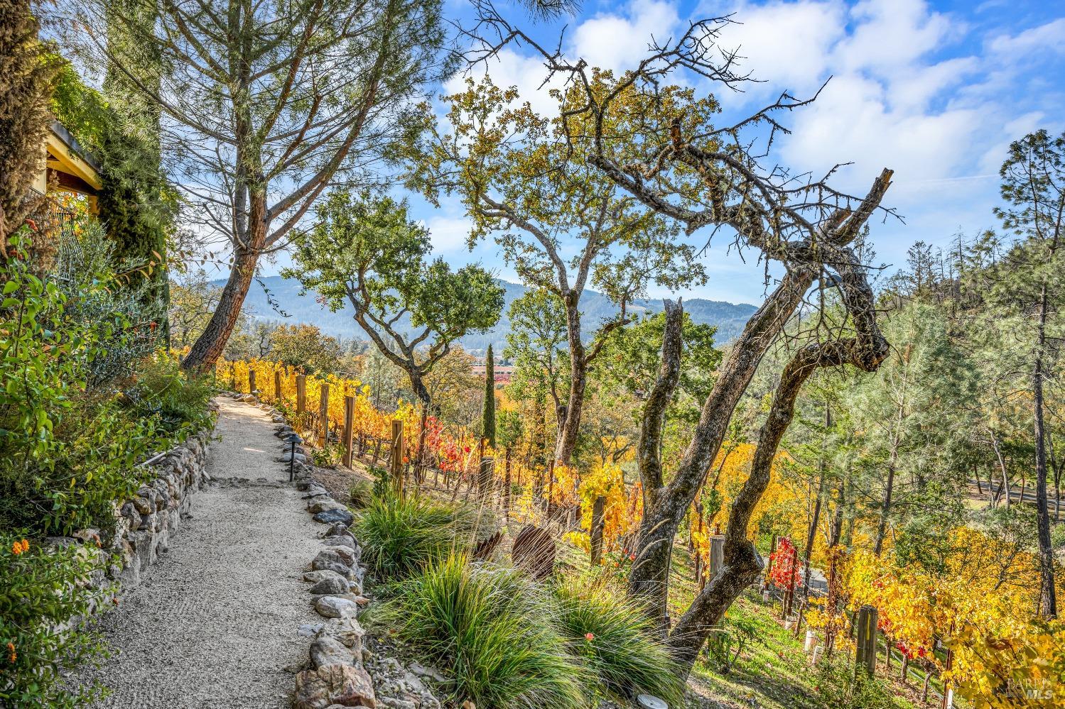 Detail Gallery Image 49 of 84 For 2395 Pickett Rd, Calistoga,  CA 94515 - 3 Beds | 3/2 Baths