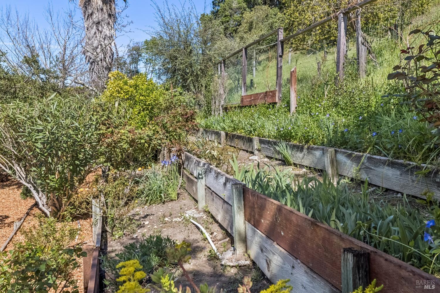 Detail Gallery Image 50 of 53 For 320 Alameda De La Loma Unkn, Novato,  CA 94949 - 3 Beds | 2 Baths