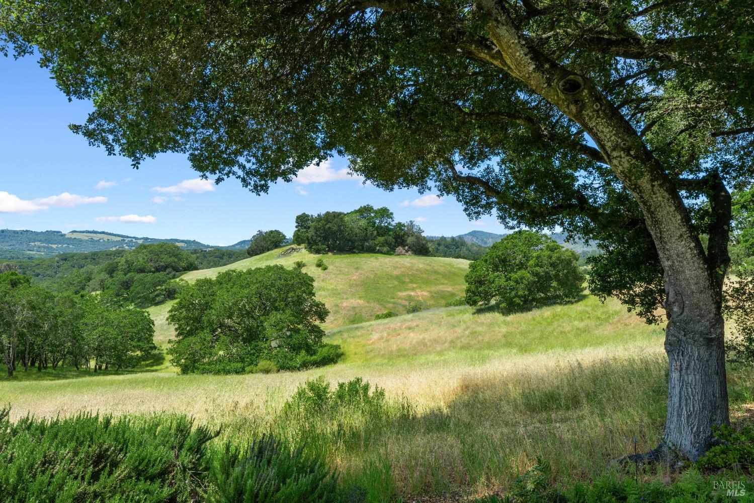 Detail Gallery Image 36 of 45 For 10601 Slattery Rd, Glen Ellen,  CA 95442 - 3 Beds | 2 Baths