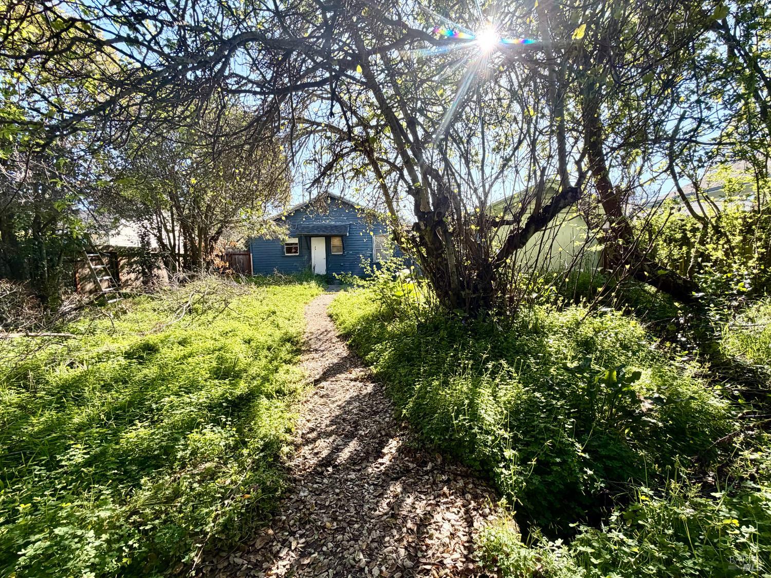 Detail Gallery Image 2 of 8 For 1045 Fourth St, Novato,  CA 94945 - 2 Beds | 1 Baths