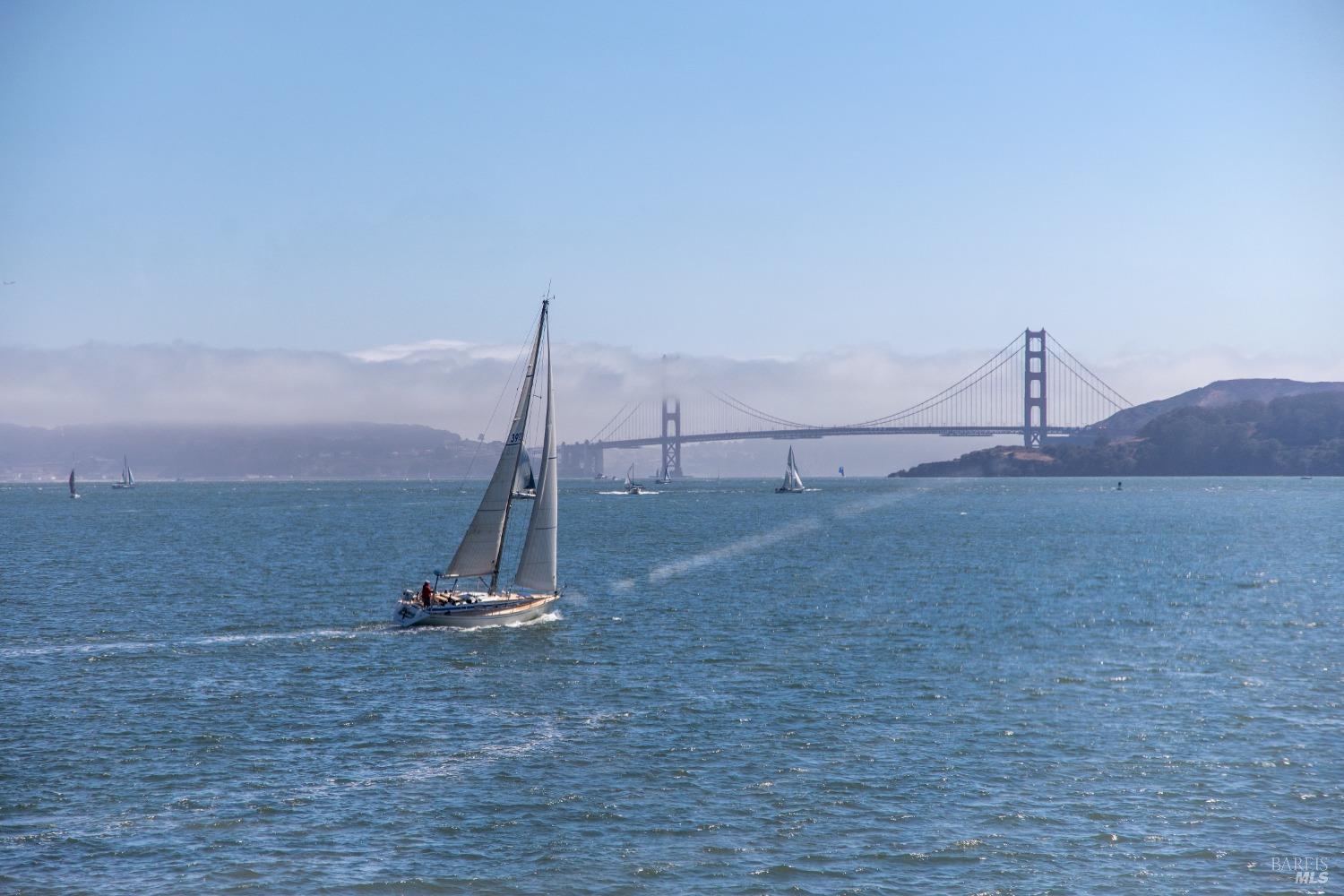 Detail Gallery Image 16 of 56 For 2002 Paradise Dr, Tiburon,  CA 94920 - – Beds | – Baths