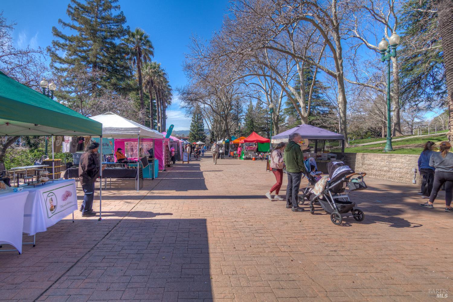 Detail Gallery Image 13 of 15 For 719 Catherine St, Vacaville,  CA 95688 - 3 Beds | 3 Baths