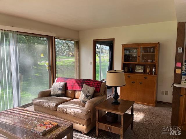 Detail Gallery Image 23 of 93 For 38555 Hauser Bridge Rd, Cazadero,  CA 95421 - 5 Beds | 2 Baths