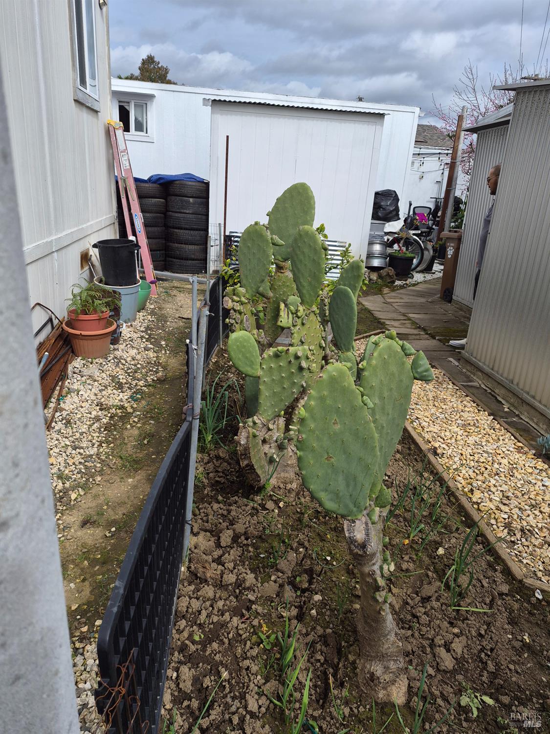 Detail Gallery Image 14 of 15 For 130 Reed Cir, Napa,  CA 94558 - 3 Beds | 2 Baths