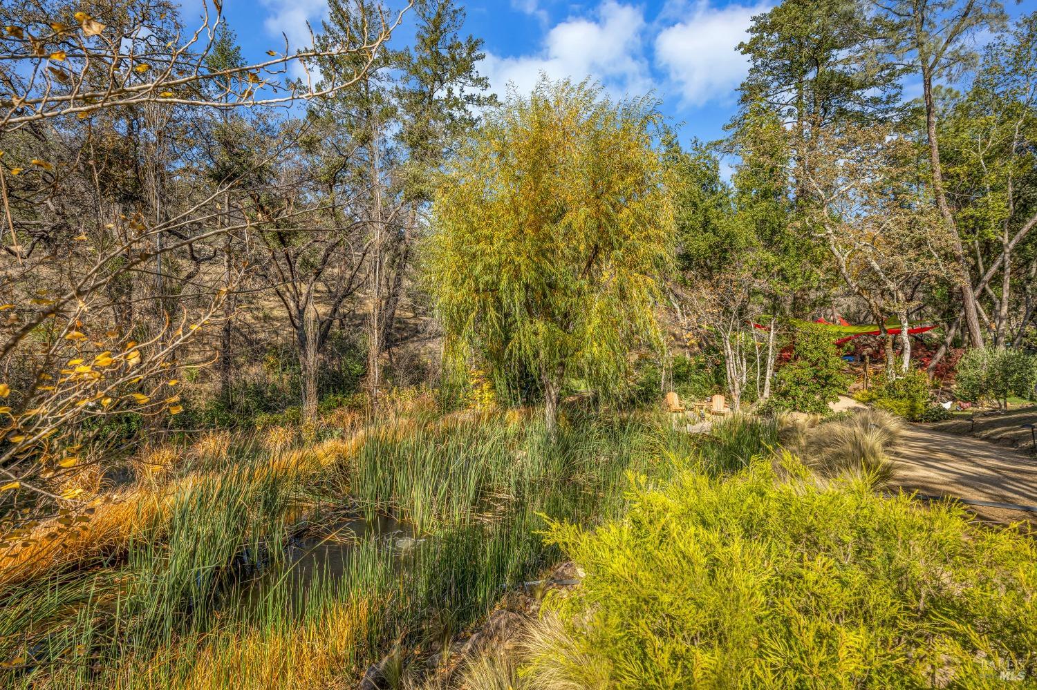 Detail Gallery Image 75 of 84 For 2395 Pickett Rd, Calistoga,  CA 94515 - 3 Beds | 3/2 Baths