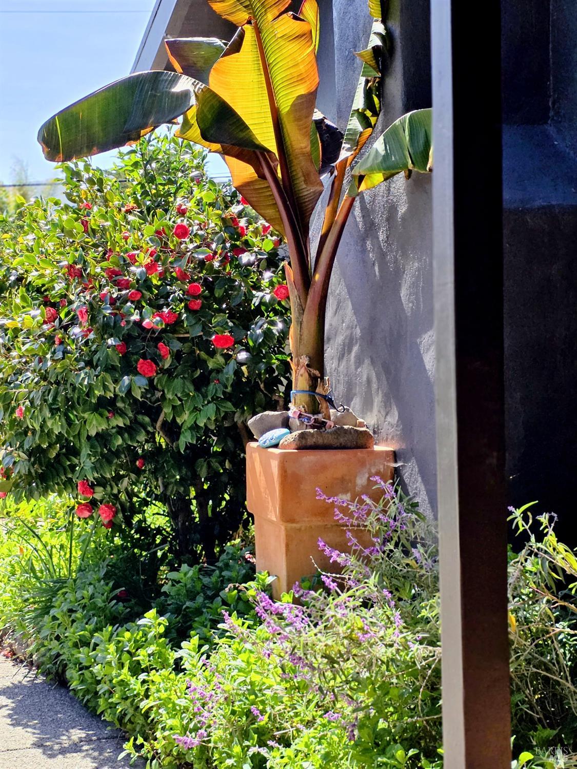 Detail Gallery Image 10 of 33 For 2100 Center Rd, Novato,  CA 94947 - 4 Beds | 3 Baths