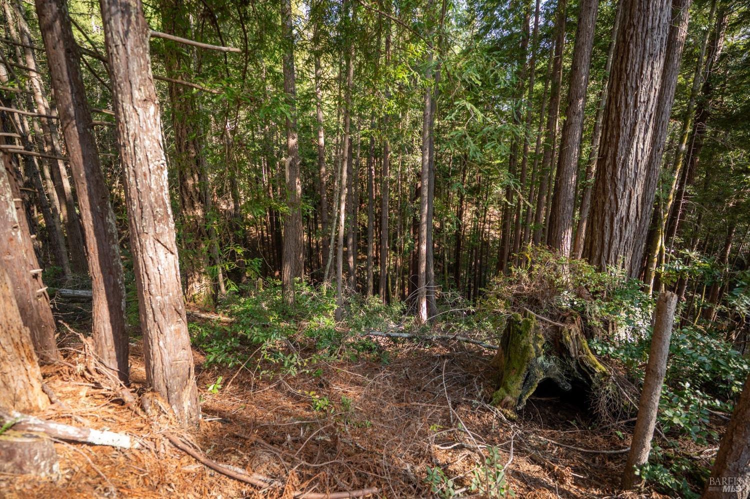 Detail Gallery Image 15 of 20 For 22096 Umland Cir, Jenner,  CA 95450 - – Beds | – Baths