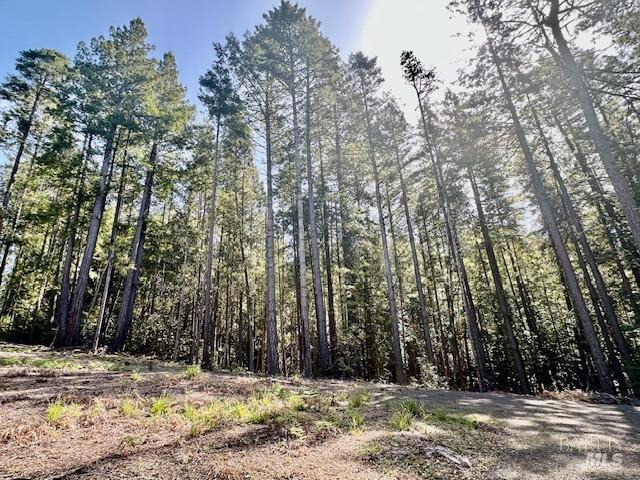 Detail Gallery Image 19 of 20 For 22096 Umland Cir, Jenner,  CA 95450 - – Beds | – Baths