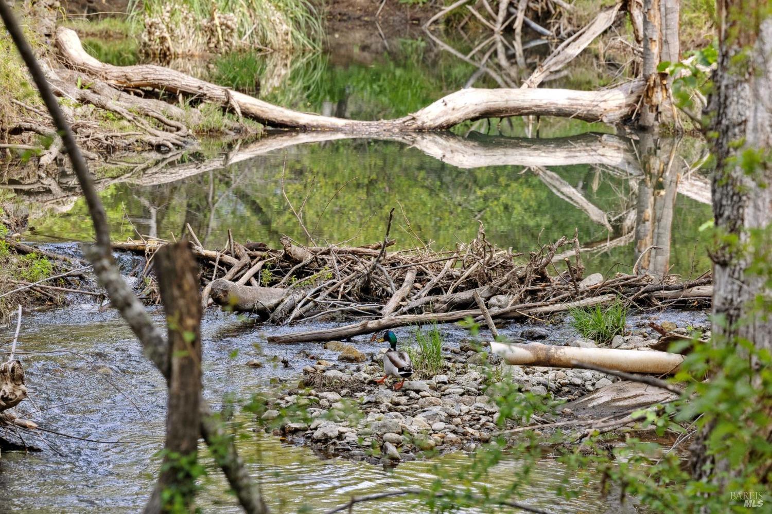 Detail Gallery Image 36 of 37 For 3048 Myrtledale Rd, Calistoga,  CA 94515 - 1 Beds | 1 Baths